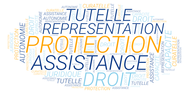 LA MESURE DE PROTECTION